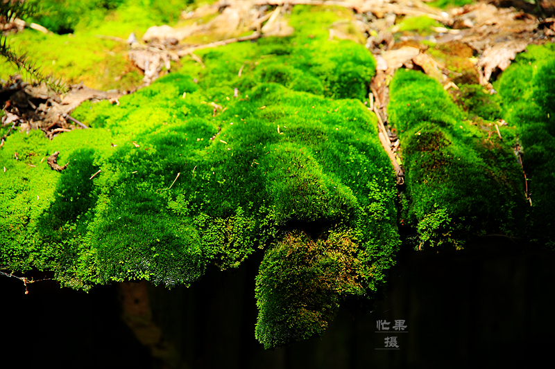 1S5A2834_副本.jpg