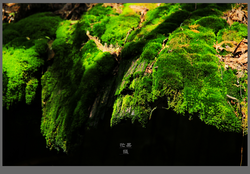 1S5A2840_副本.jpg
