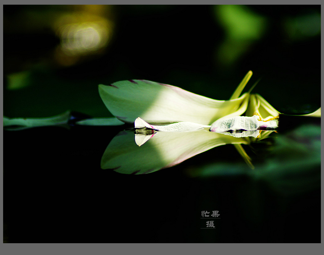 _DSC6002_副本.jpg
