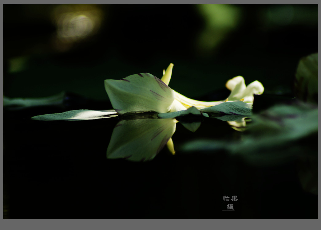 _DSC6003_副本.jpg