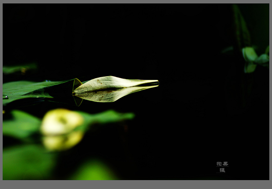 _DSC6016_副本.jpg