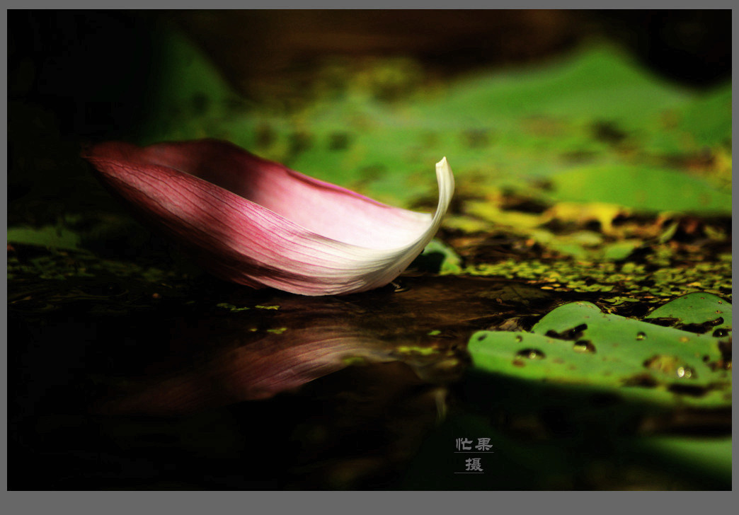 _DSC6048_副本.jpg