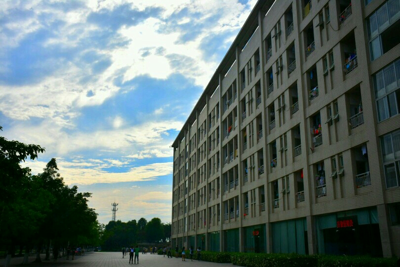 9tNwa95TgTn9.jpg