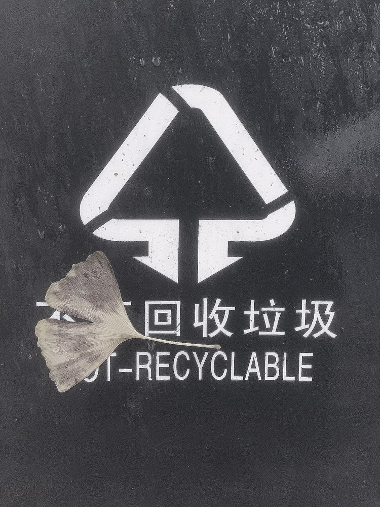 file.jpg