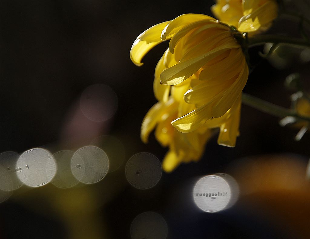 _S5A0118_副本.jpg