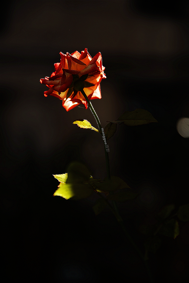 _S5A0185_副本.jpg