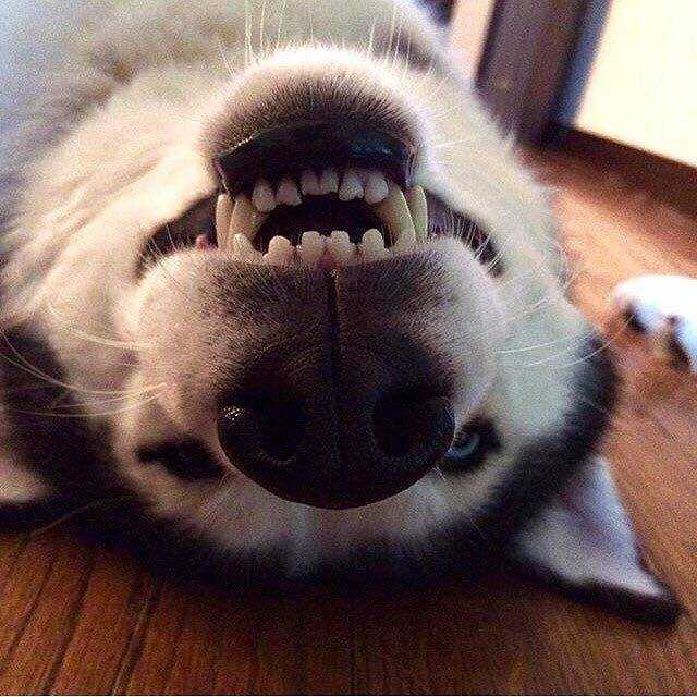 file.jpg