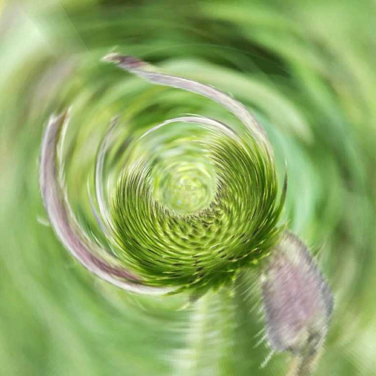 1480496201347.jpg