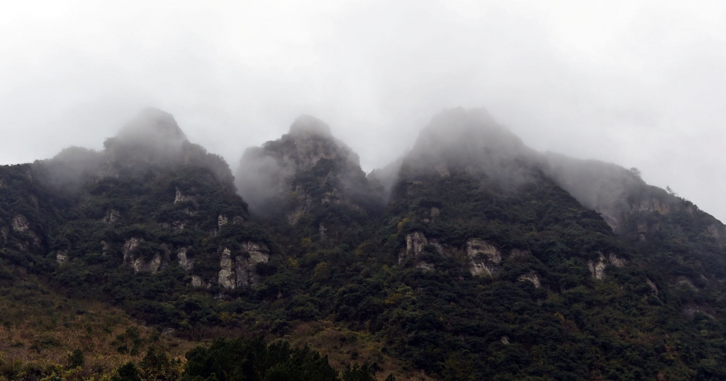 DSC_2020_看图王.jpg