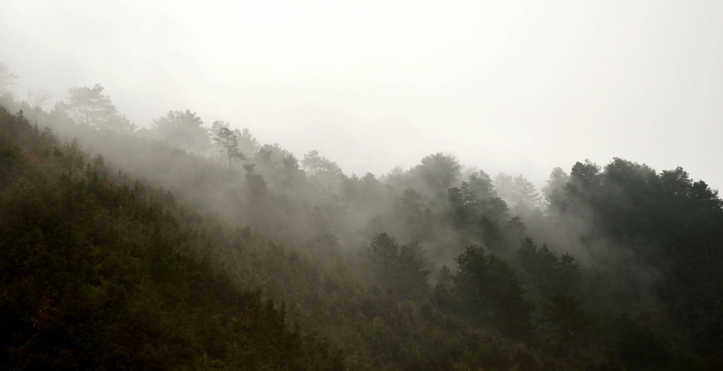 DSC_2049_看图王.jpg