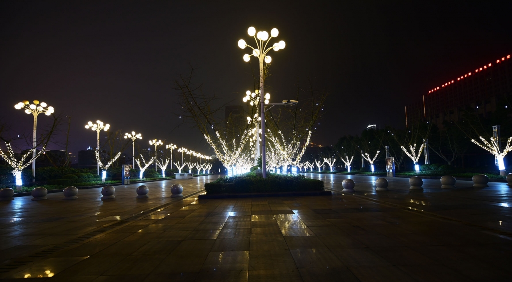 DSC_2100.JPG