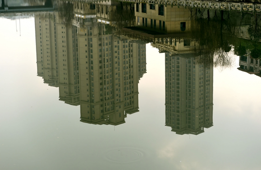 DSC_2114.JPG