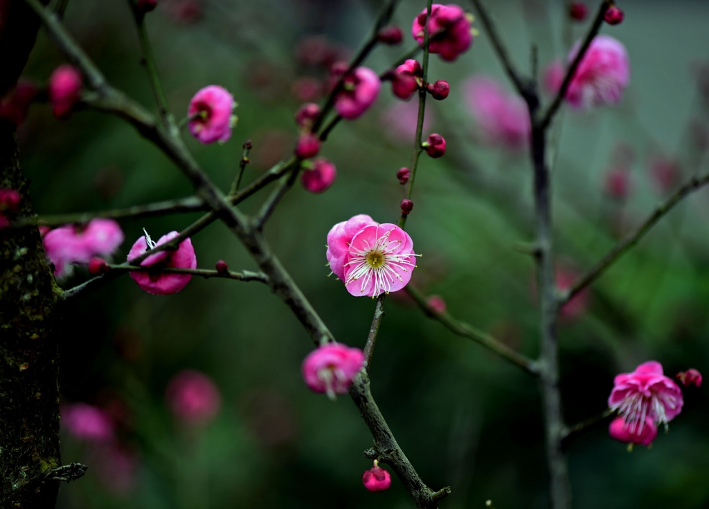 DSC_2189.jpg