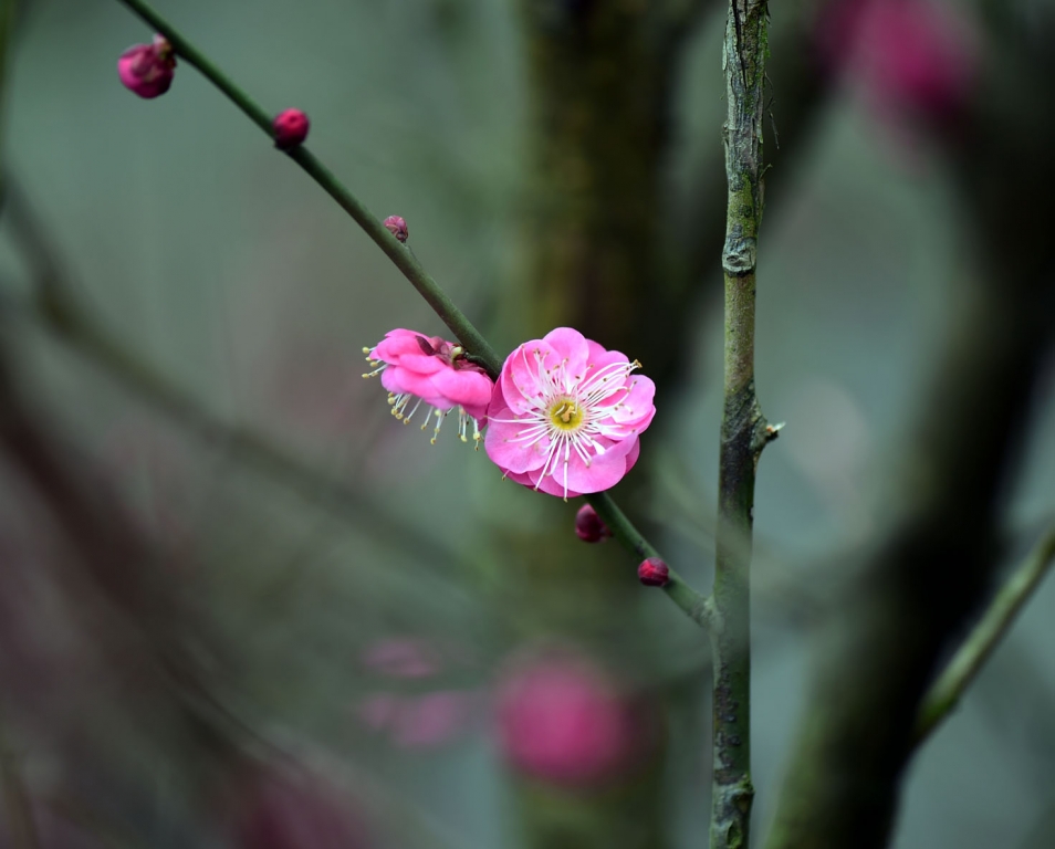DSC_2191.jpg
