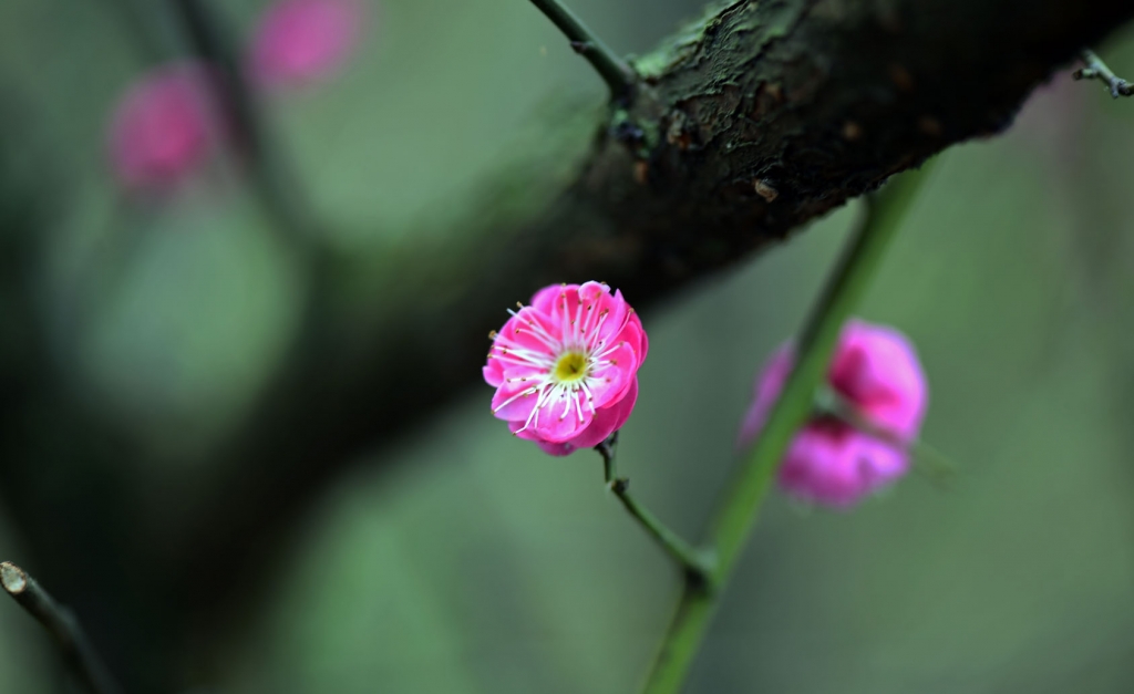 DSC_2197.jpg