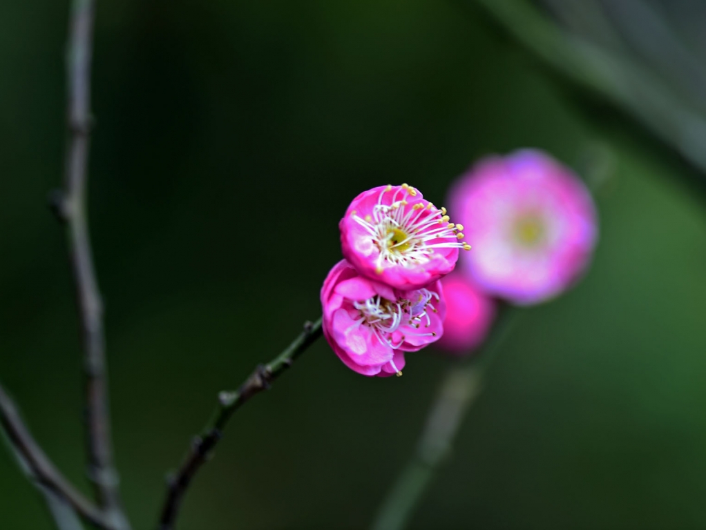 DSC_2201.jpg