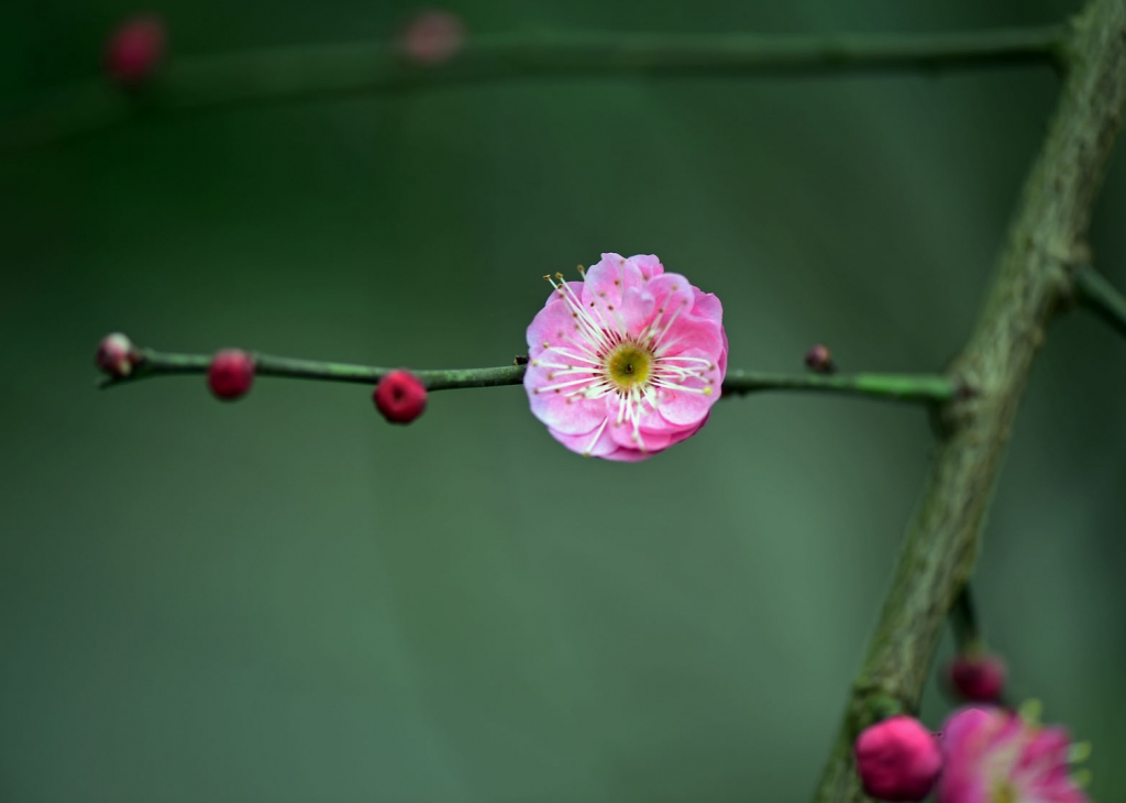 DSC_2202.jpg