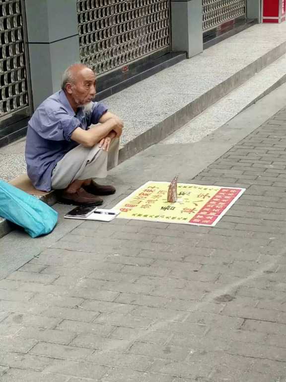 1484060562094.jpg