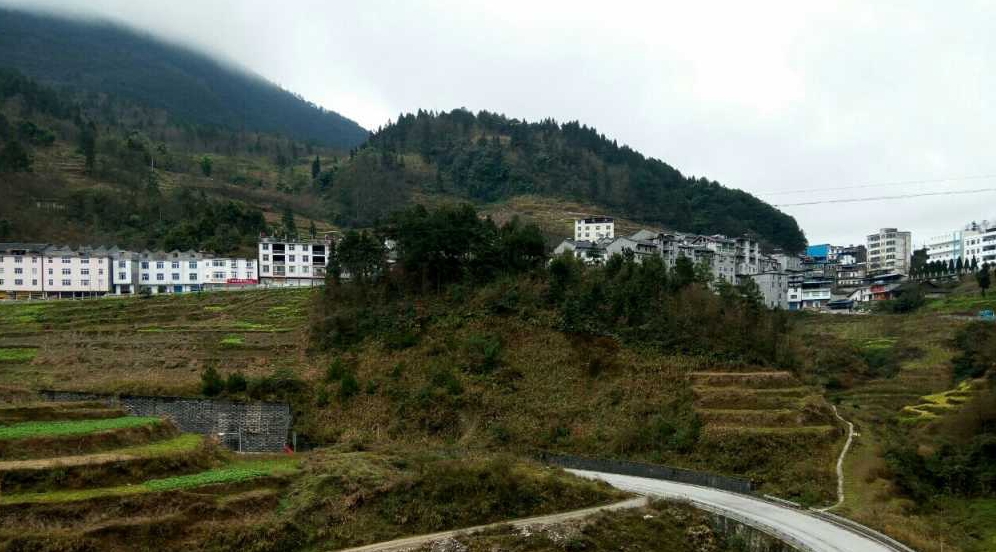 124529nz9onnwm3ww453nn_副本.jpg