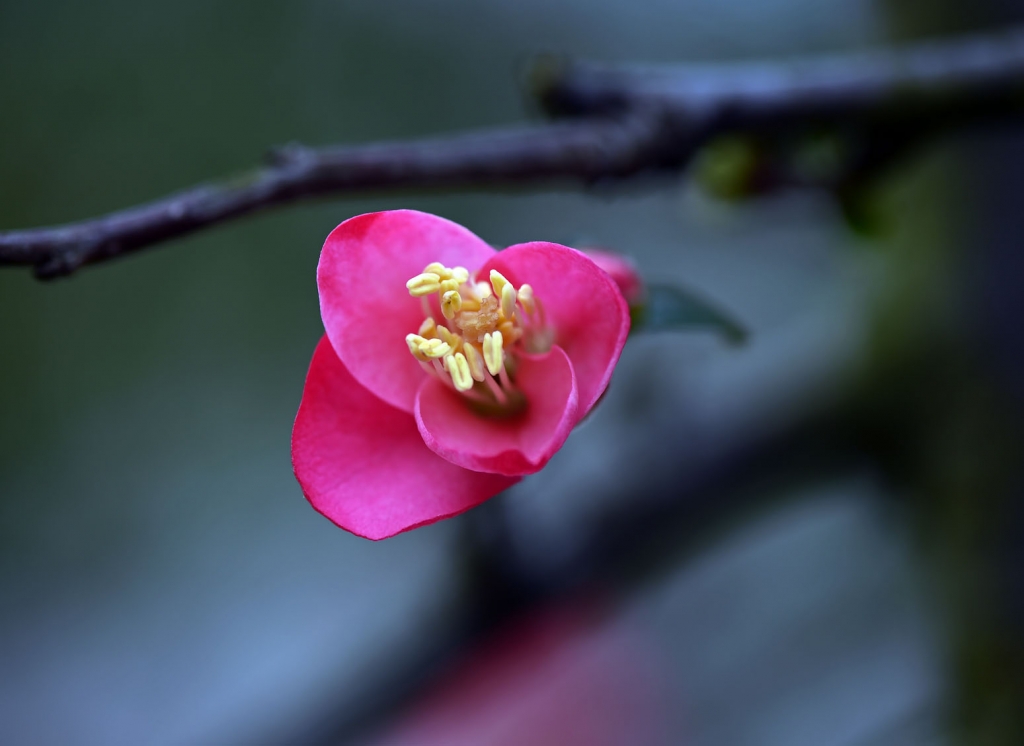 DSC_2227.JPG