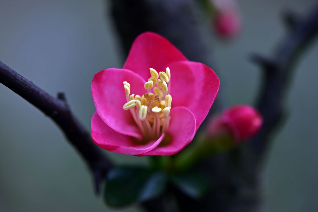 DSC_2231.JPG