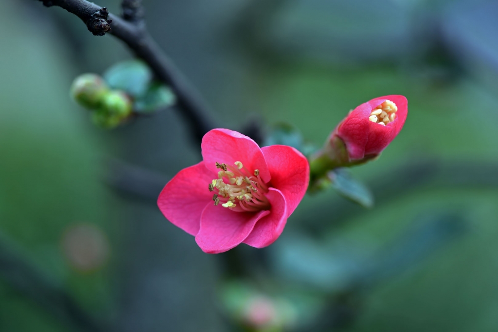 DSC_2232.JPG