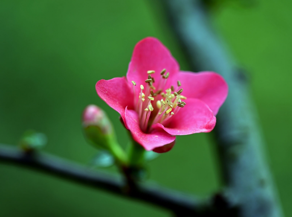 DSC_2234.JPG