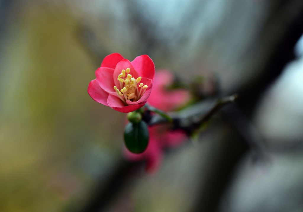 DSC_2233.JPG