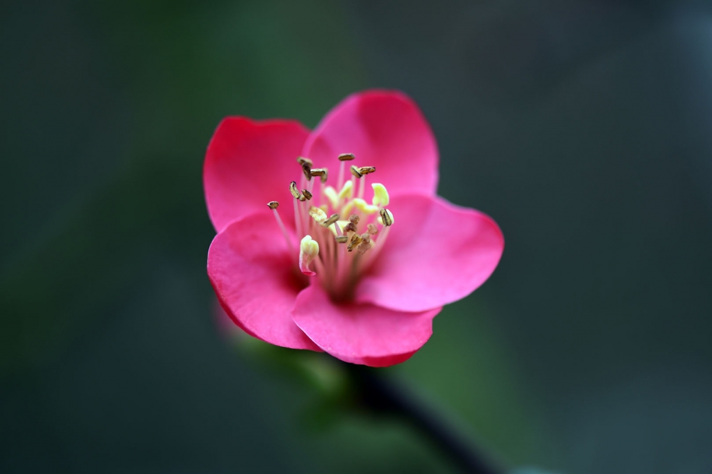 DSC_2235.JPG