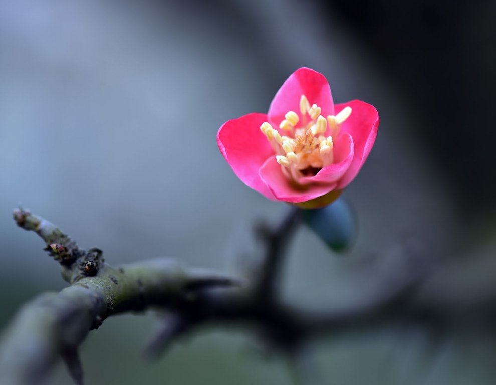 DSC_2240.JPG