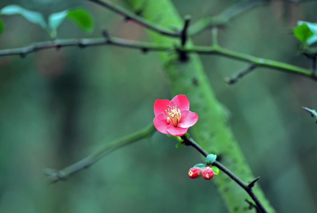 DSC_2243.JPG