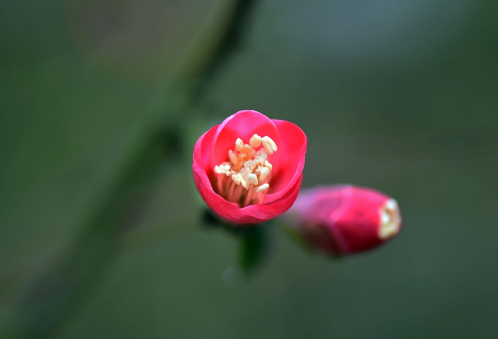 DSC_2247.JPG