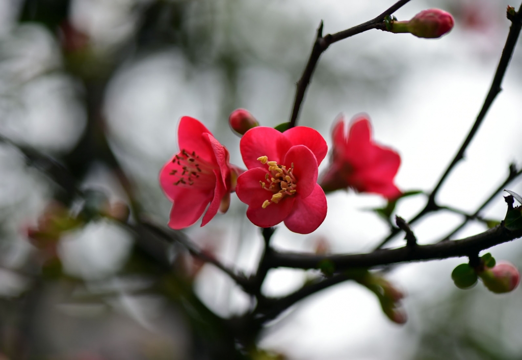 DSC_2253.JPG