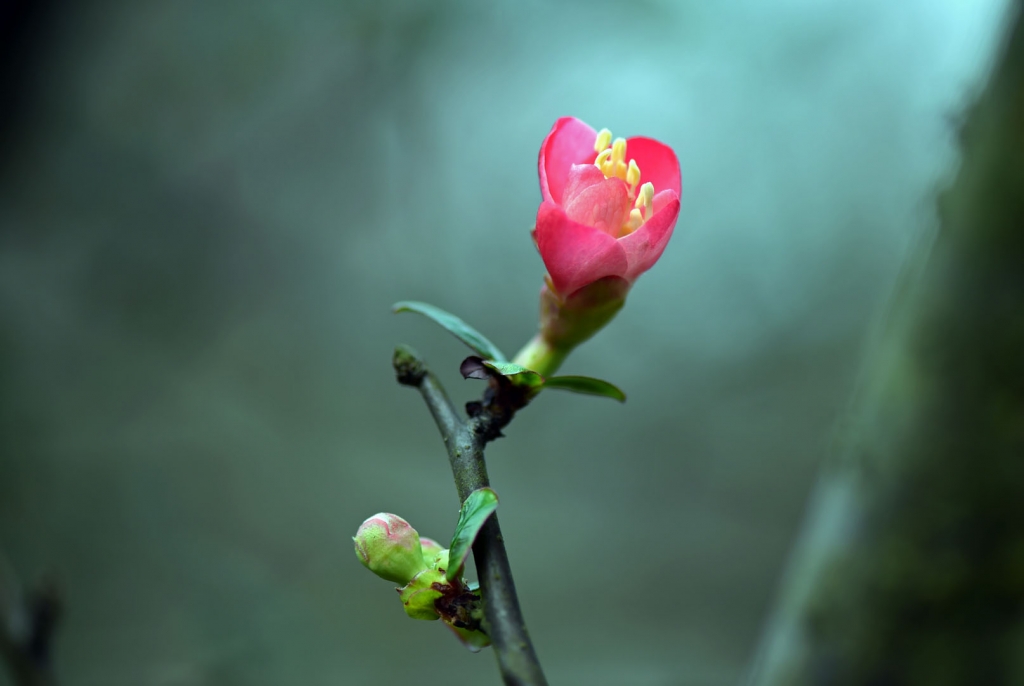DSC_2252.JPG