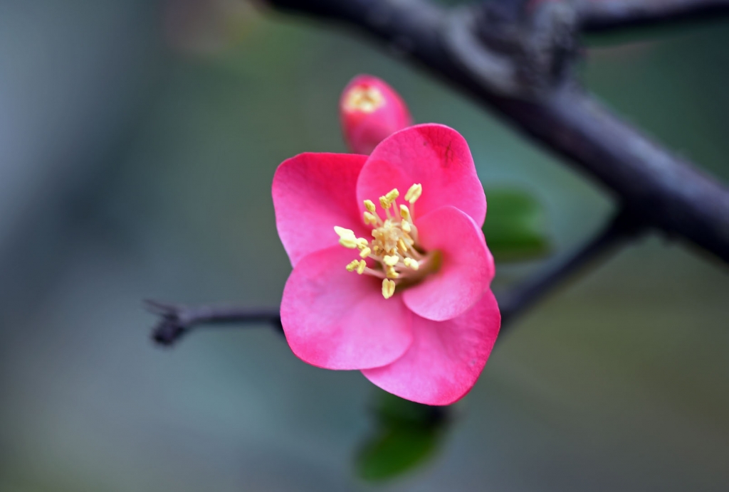DSC_2275.JPG