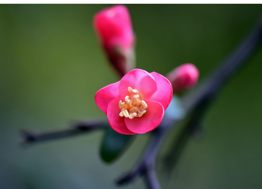 DSC_2274.JPG