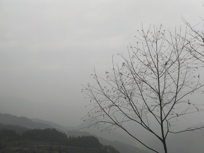 221432berr4b7bg65lzeb2.jpg
