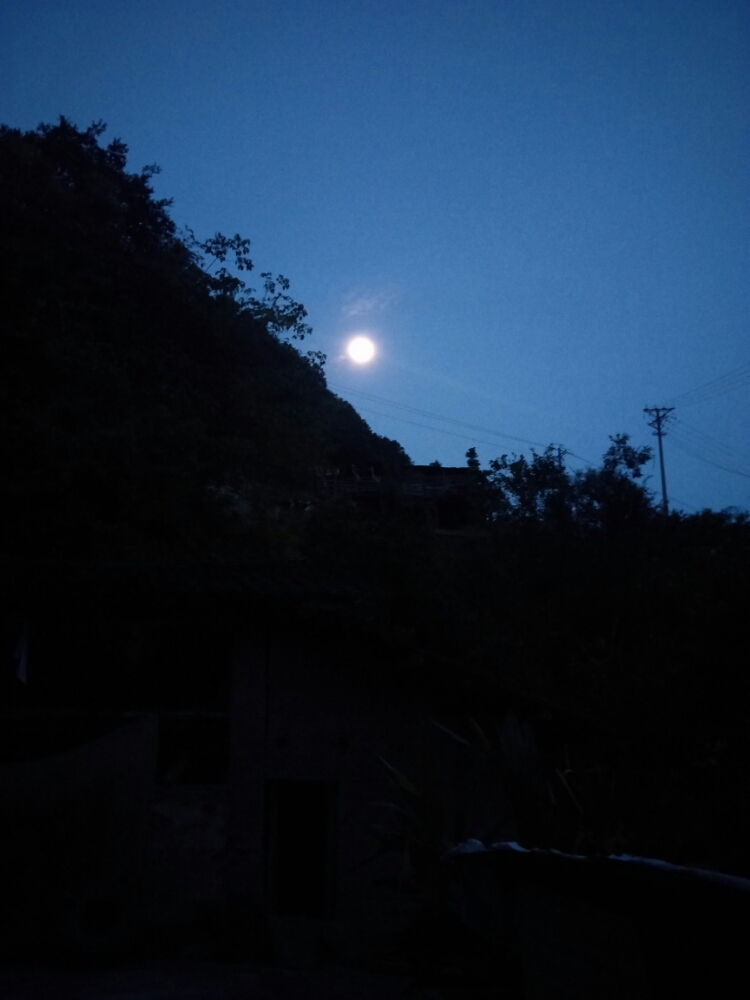 20170805_120790_1501895664366.jpg