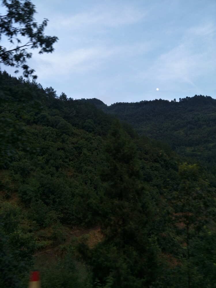 20170805_120790_1501895663731.jpg