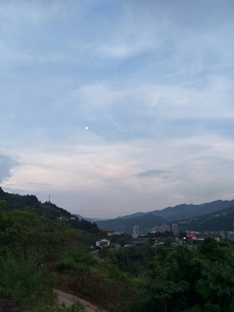20170805_120790_1501895663422.jpg