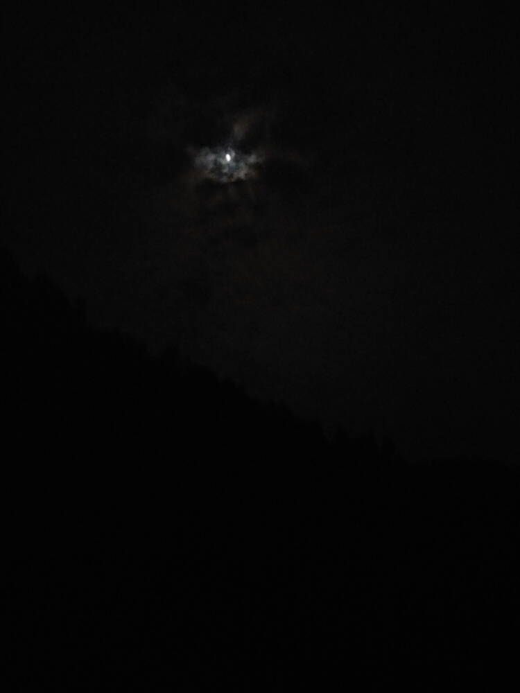 20170805_120790_1501895664927.jpg
