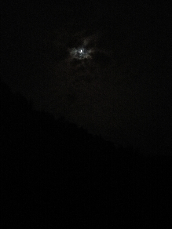 20170805_120790_1501895665168.jpg