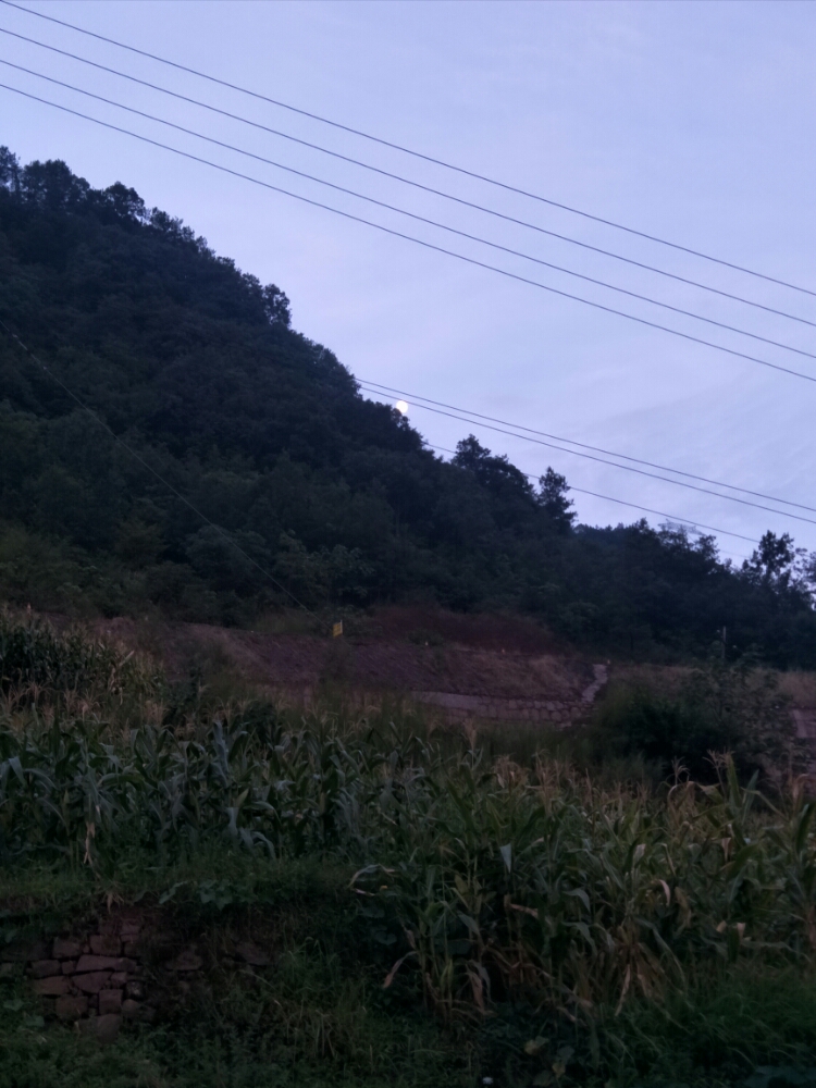 20170805_120790_1501895664053.jpg