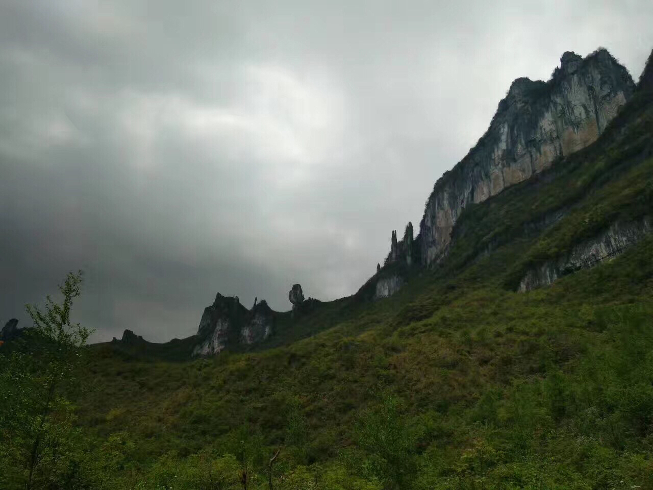201708051103101501942428301866.jpg