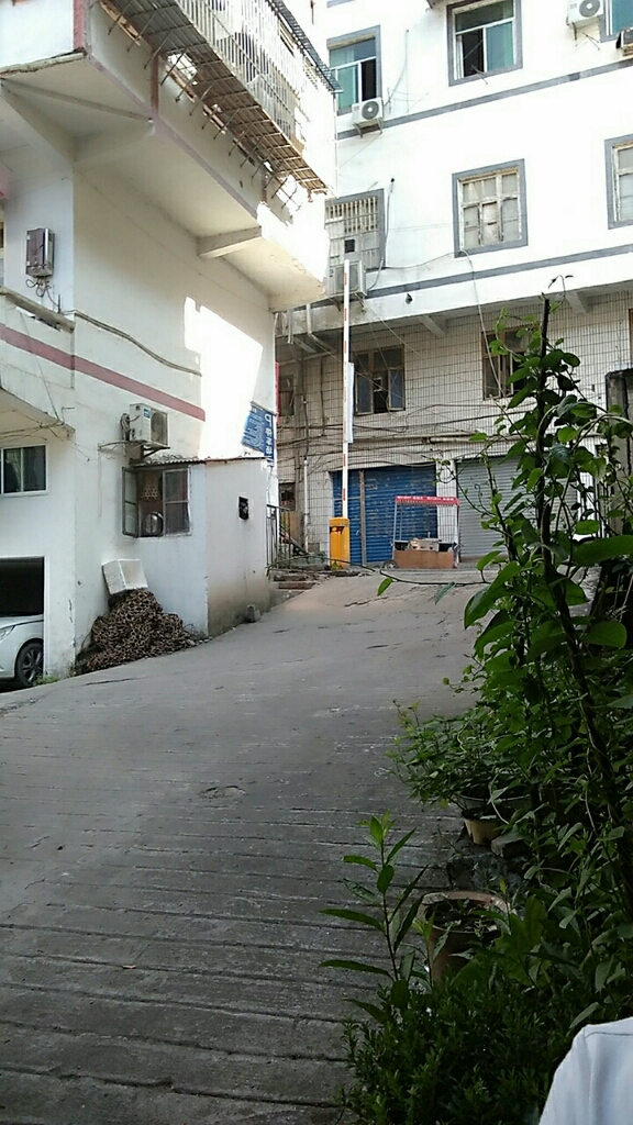 20170806_95299_1501983523847.jpg