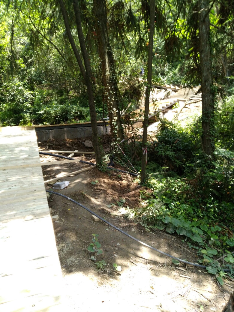 20170806_123577_1501985671933.jpg