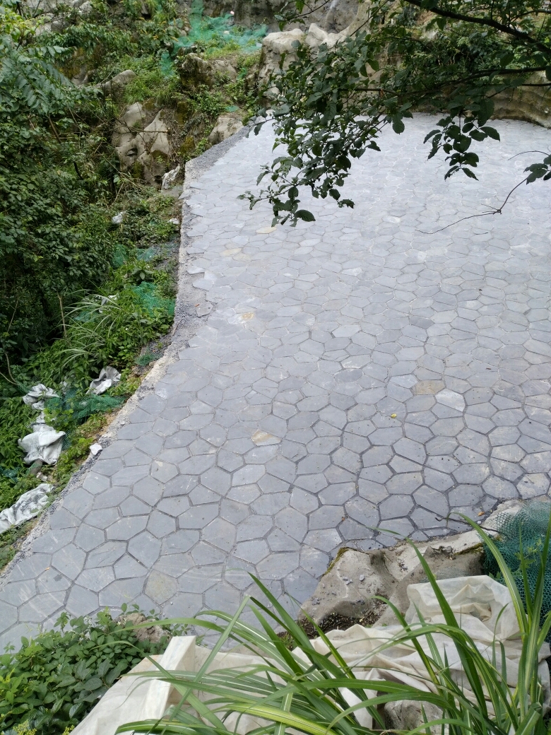 20170806_123577_1501985670440.jpg