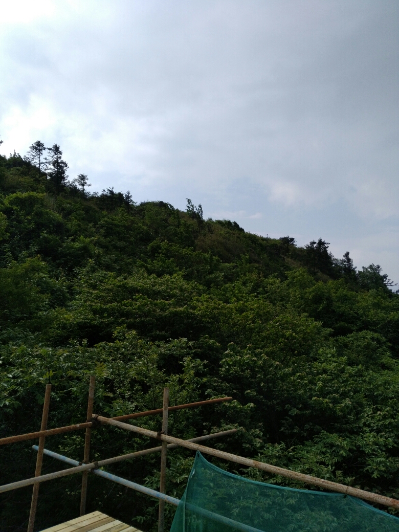20170806_123577_1501985672708.jpg