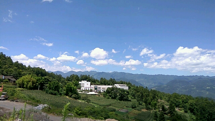 20170806_93230_1501999528542.jpg