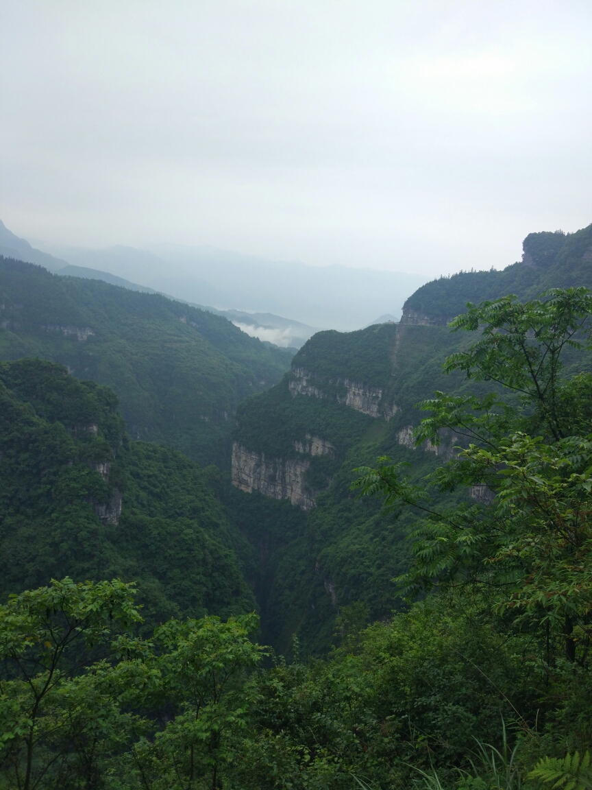 20170811_124738_1502413503571.jpg